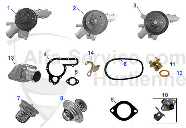 Wasserpumpen/Thermostate