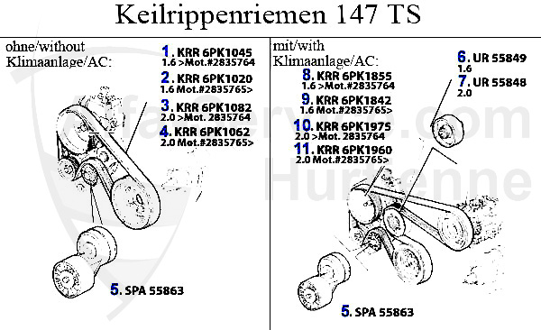 TS 16V