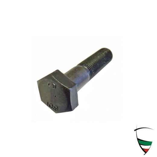 SCREW FOR SPRING PLATE