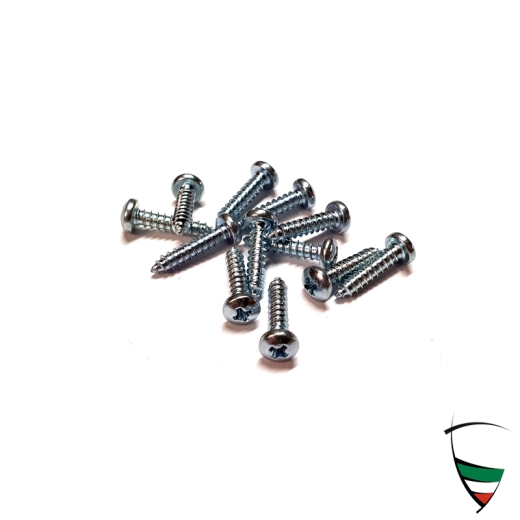 Schraubensatz (12 Stk) Bertone für Befestigungsprofil B-Säule