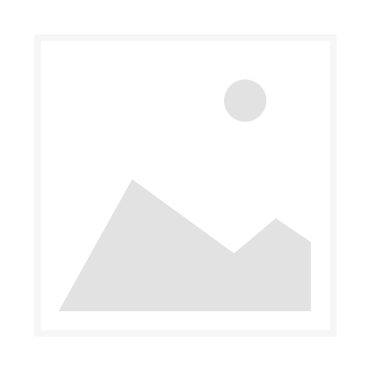 Gummiring Laufbuchse 2000