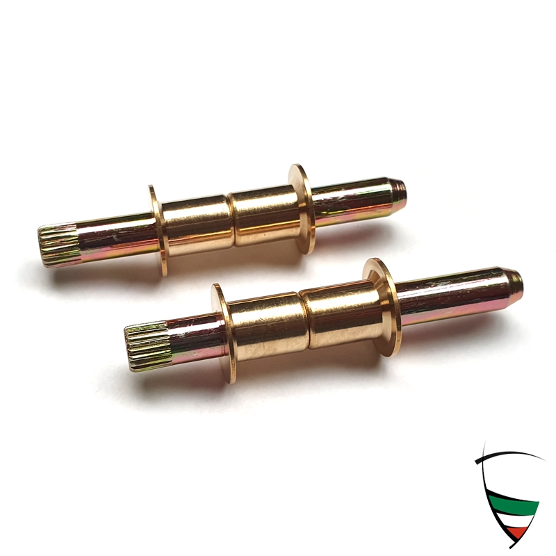 Reparatursatz Türscharniere Bertone für eine Tür, 2 Scharniere