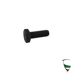 Befestigungsschraube Bremssattel hinten 10x1,25 nicht für Dunlopbremse